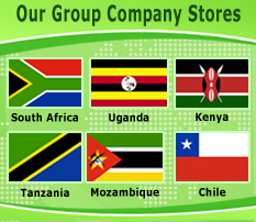 Group Company Stores